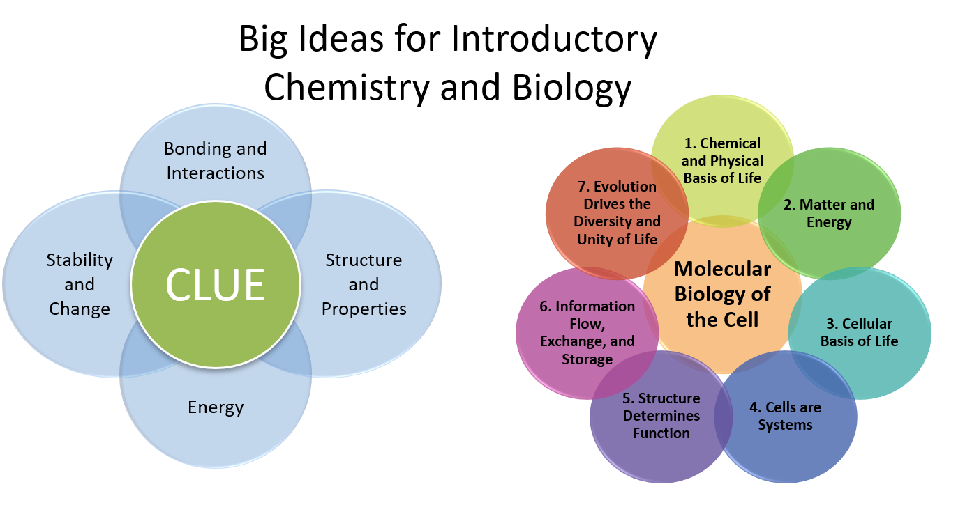 Titled: Big Ideas for Introductory Chemistry and Biology. The left figure shows four interlocking circles labeled Bonding and Interactions, Structure and Properties, Energy, and Stability and Change surrounding a fifth circle labeled CLUE. The right figure shows seven interlocking circles labeled Chemical and Physical Basis of Life, Matter and Energy, Cellular Basis of Life, Cells are Systems, Structure Determines Function, Information Flow, Exchange, and Storage, and Evolution Drives the Diversity and Unity of Life surrounding an eighth circle labeled Molecular Biology of the Cell.